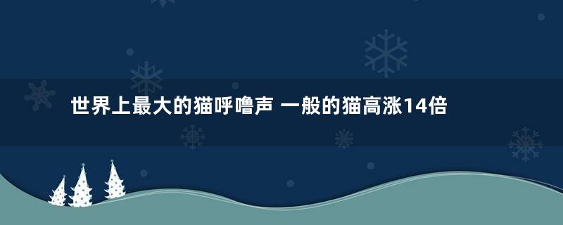 世界上最大的猫呼噜声 一般的猫高涨14倍